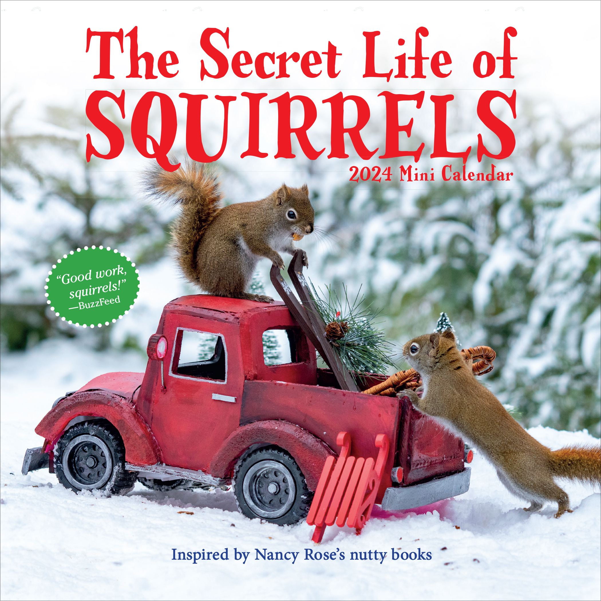 Secret Life of Squirrels 2024 Mini Calendar cover image